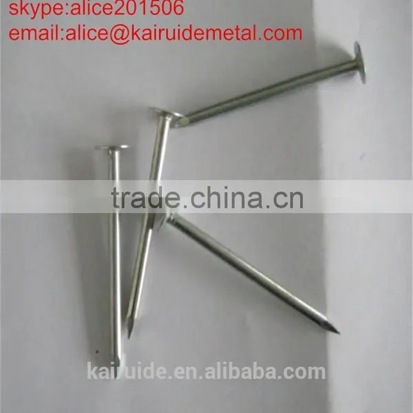 High Qulaity Low Price Stainless Steelconcrete Nail From Concrete Steell Nail Factory photo-6