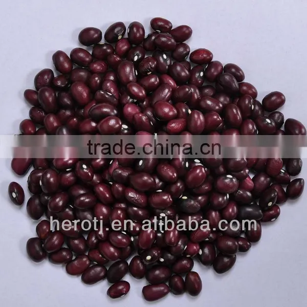 2013 New Crop Round Purple Kidney Beans