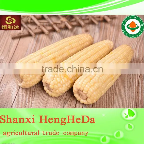 Carbon Fiber Yellow Corn for Animal Feed photo-5