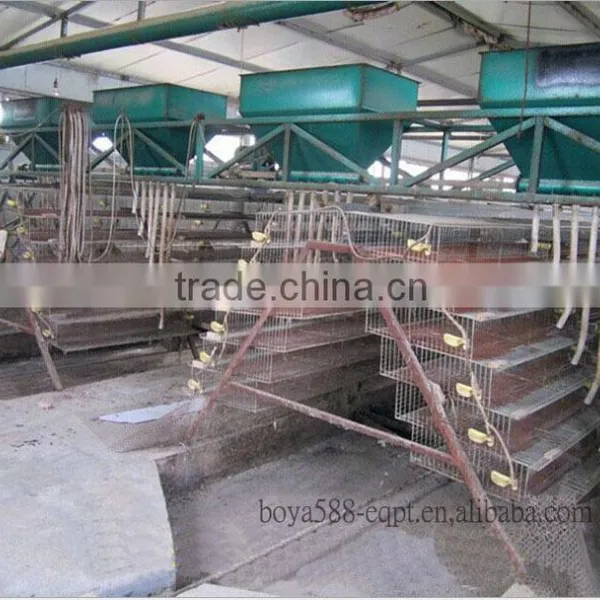 Galvanized Material Automatic Layer Quail Equipment photo-3