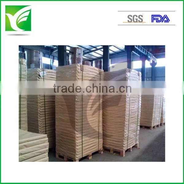 Offset Printing Paper Sheet or Roll