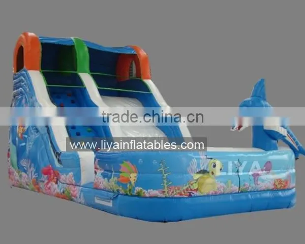 Promotional Giant Inflatable Water Slide,10m Length Water Slide With Pool photo-5