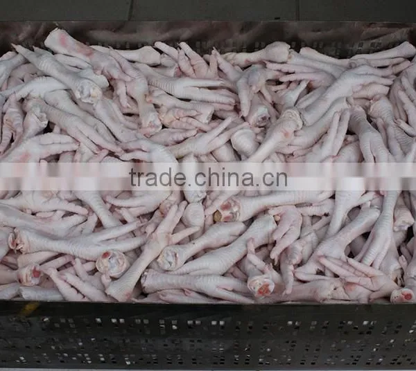 GRADE A BRAZILIAN HALAL FROZEN WHOLE CHICKEN READY FOR EXPORT ANY PORT OF YOUR CHOICE photo-4