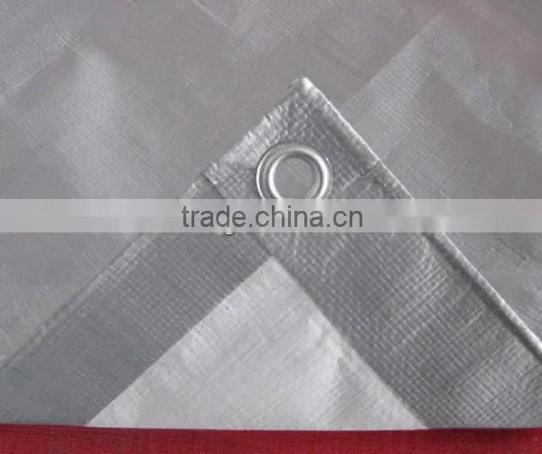 Waterproof Birthday Design PE Woven Fabric Tarpaulin Used For Cover photo-4