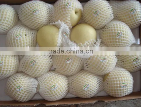 Chinese Gold Pear,round Pear photo-2