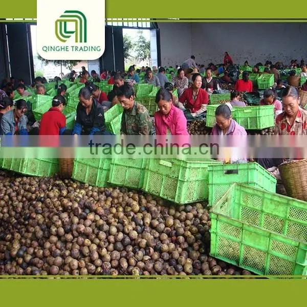 Dried Fruit Walnut and Walnut Kernels Walnut Without Crust for Sale photo-5