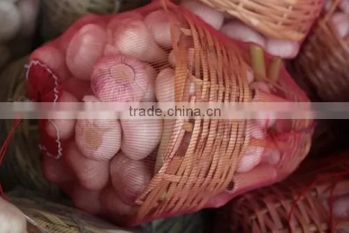 Garlic Type and Fresh Style Fresh White Garlic photo-2