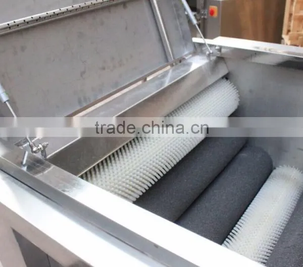 MSTP-80 Stainless Steel Potato Carrot Cassava Washer and Peeler photo-2