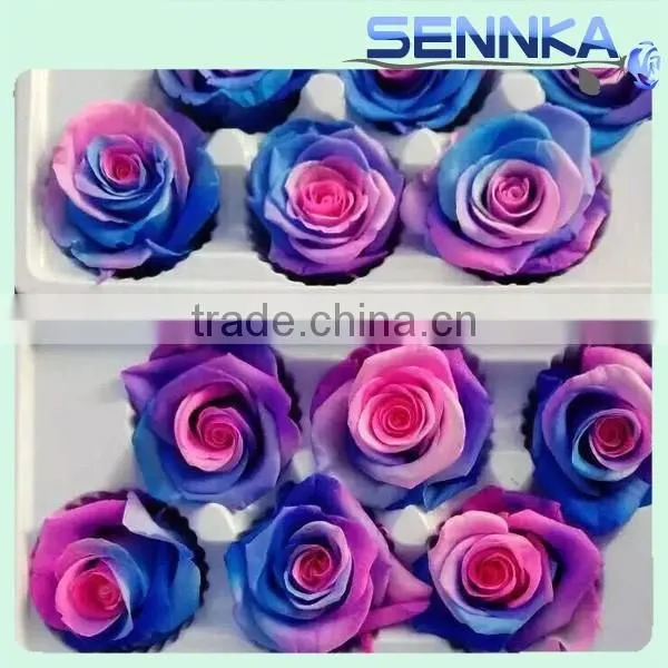 Natural Real Touch Flower Rose 2-3cm Flower Rose Head Preserved Fresh Flower photo-2