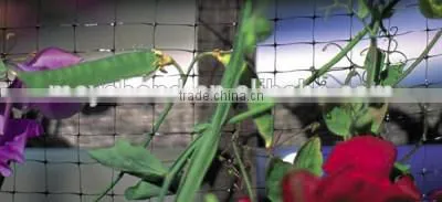 Anti Bird Net for Farming photo-4