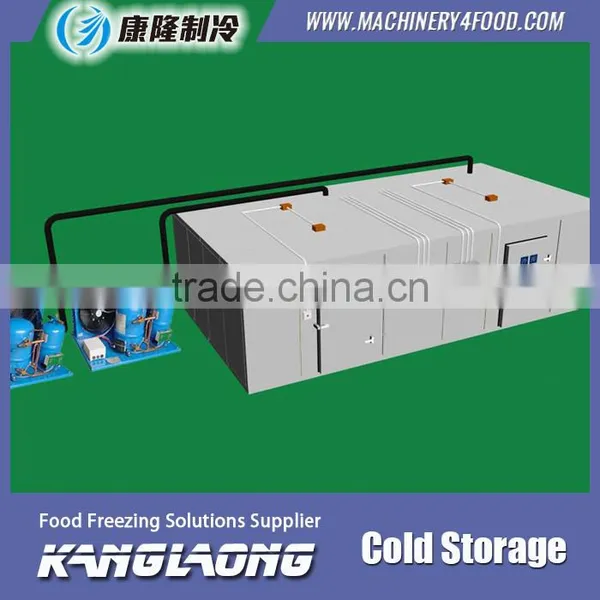 Hot Selling New Technology Container Cold Room photo-3