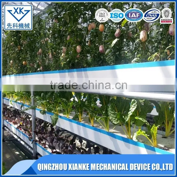 Professional Top Qualityl Hydroponic System Greenhouse photo-2