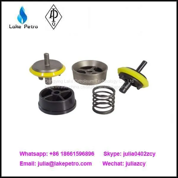 Mud Pump Parts Valve Spring Valve Seat photo-5