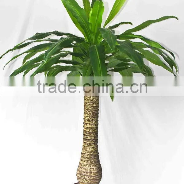 Wholesale Outdoor Use Potted Plants photo-4