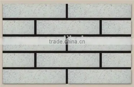 China Building Material House Multicolor Standard Size of Wall Brick photo-2