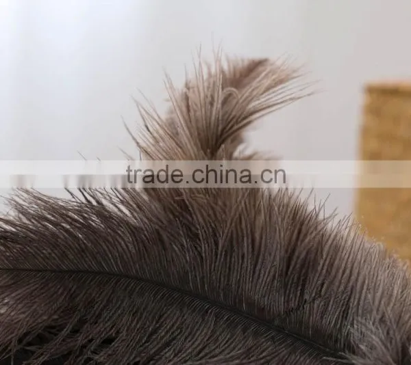 Factory Cheap Duster 50cm Ostrich Feather Duster photo-4