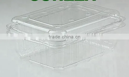 Disposable Packaging ;Vegetable Box ;Fruit Dish photo-4