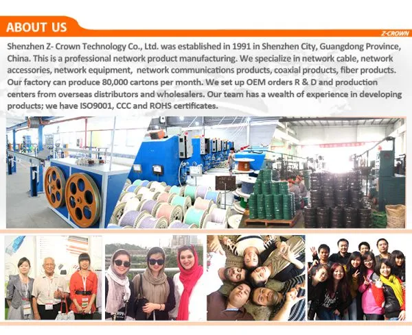 Shenzhen Z-crown Technology Co,.lyd company overview - view 1