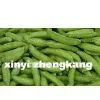 Sell Frozen Sugar Snap Pods