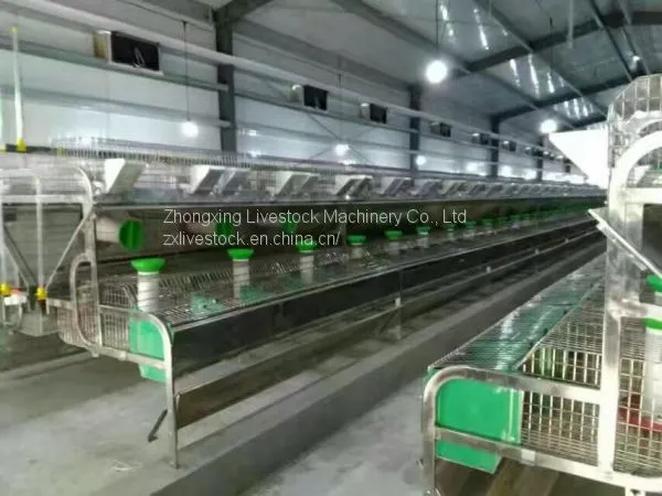 Automatic Rabbit Breeding Cages 2 Tiers, 18 Mother Rabbit Cages and 18 Breeding Boxes photo-2