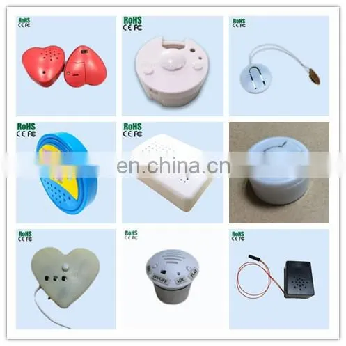 New Type 20 Seconds Voice Recorder With Custom Design Message photo-6