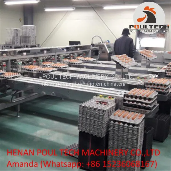 Automatic Egg Grading Machine photo-2