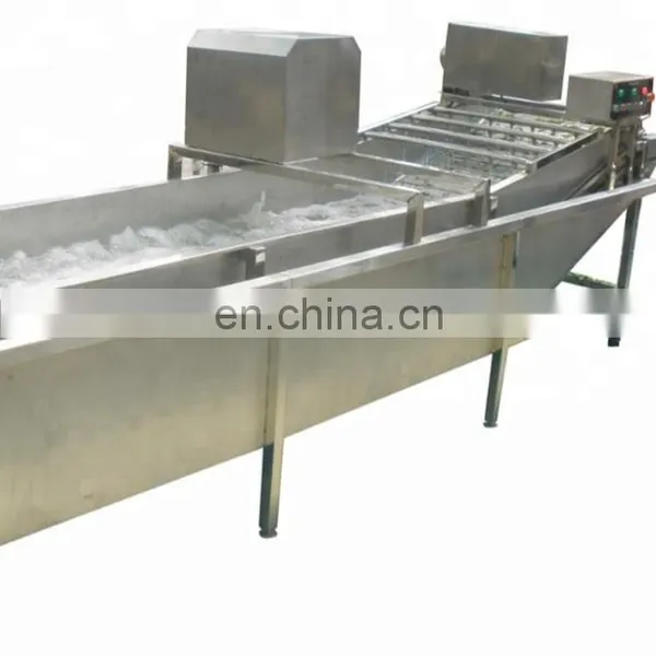 Automatic High Pressure Washer/commercial Fruit Vegetable Washer/leafy Vegetable Washing Machine Prices