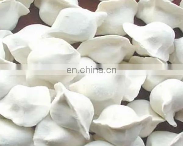 IQF Quick Freezing Sea Cucumber / Seafood Frozen Machinery / Blast Freezer Tunnel Machine