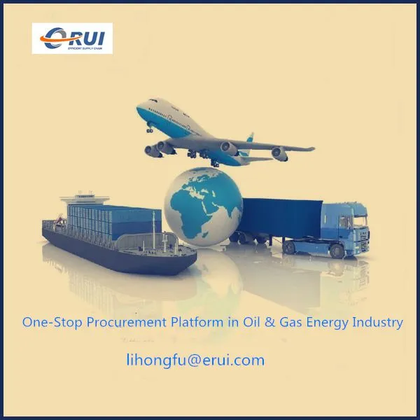 Erui International Electronic Commerce Co., Ltd. company overview - view 2
