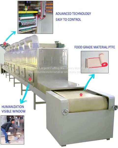 Microwave Vacuum Equipment
