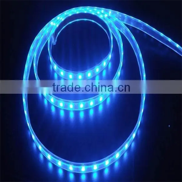 Double Line Smd5050 Rgbw Led Strip Light photo-2