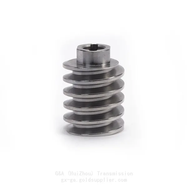 40Cr Worm Shaft, MN2.5 Worm Shaft, Precision Worm Shaft, DIN 5 Worm Shaft