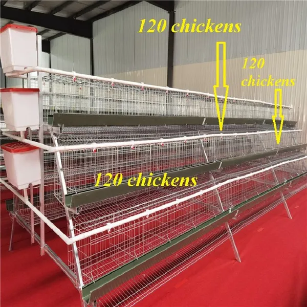 Broiler cage / three story two door three-dimensional chicken cage / chicken cage