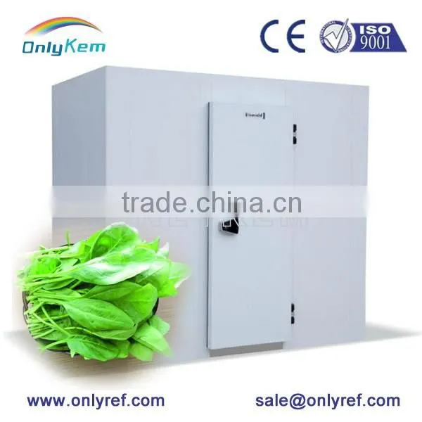 Freezing Refrigeration Rooms Keeping Peppers Fresh photo-2