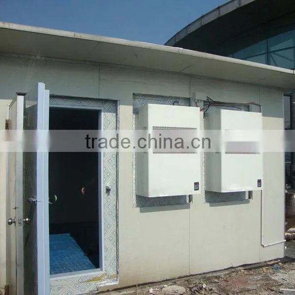 Small Cold Storage With DIY Chiller Unit photo-2