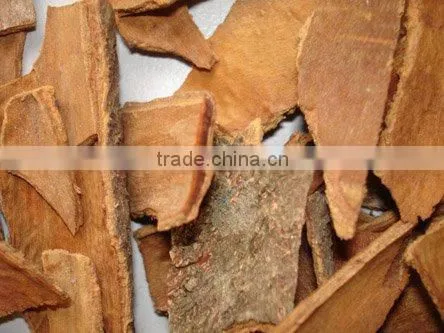 BROKEN CASSIA (CINNAMON)