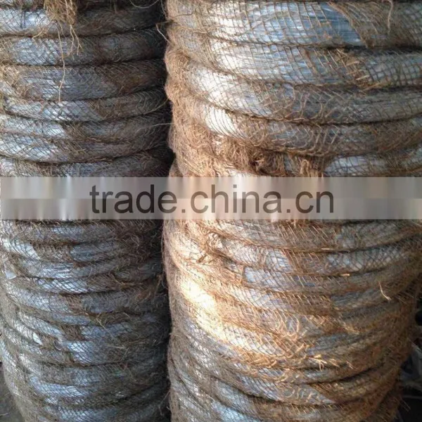 2016 Hot Sale Galvanized Iron Wire photo-4