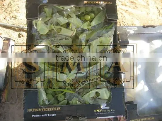 Fresh Flame Grape photo-4
