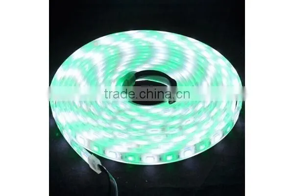 New Arrival! 5050 12v 30leds/60leds Rgbw LED Tape/LED Strips Made in China photo-4