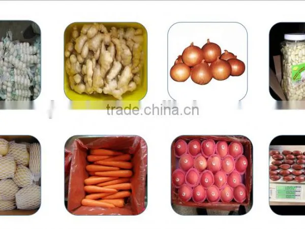 China Ginger for Sale / Ginger Price photo-3