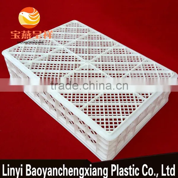 605x420x150mm Plastic Crate for Duckling Baby Chick and Food Freeze and Transportation photo-5