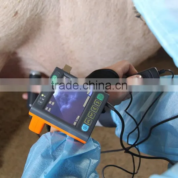 Frequency Convex Probe Portable Veterinary Ultrasound Machine photo-5