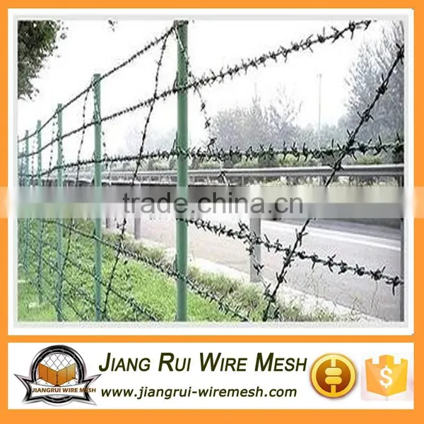 Electric Galvanized Barbed Wire photo-3