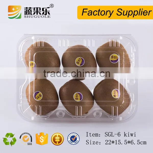 Best Price Plastic 6 Kiwi Fruit Clamshell Punnet photo-3