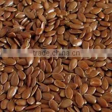 Flax Seeds