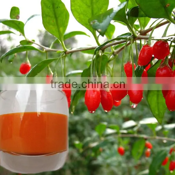 100% Wolfberry Juice Concentrate Goji Berry Juice Concentrate