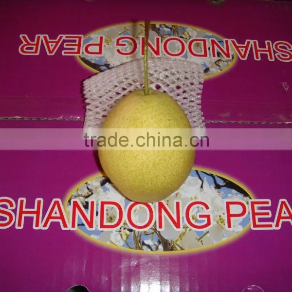 Super Shandong Pear Packed in Carton photo-5