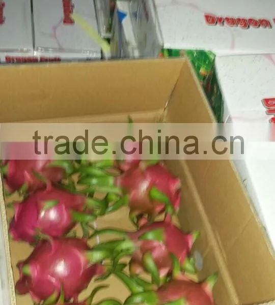 VIETNAM DRAGON FRUIT photo-2