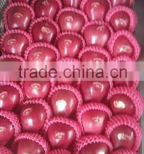 2016 Red Delicious Huaniu Apple photo-5