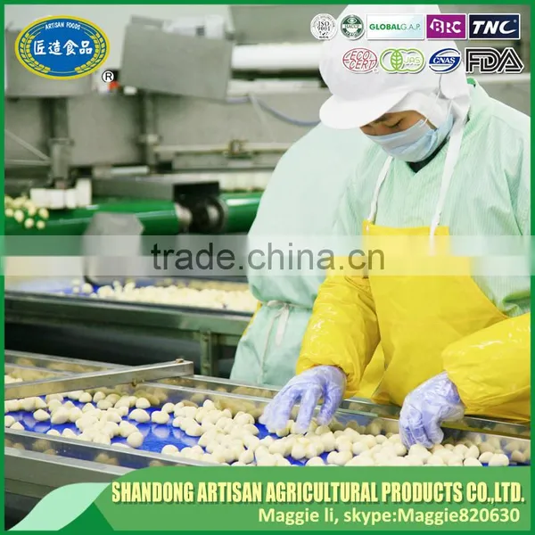 Export Garlic Paste to International Market With Best Price photo-5